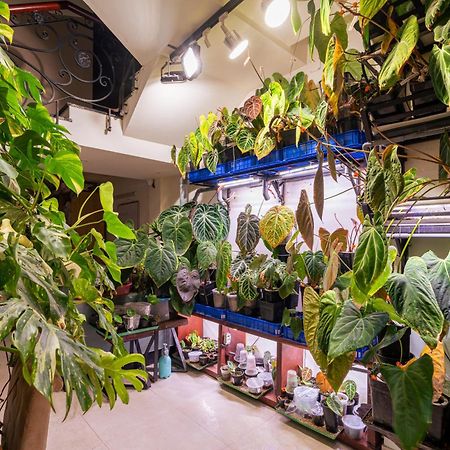 Amango Home Хошимін Екстер'єр фото
