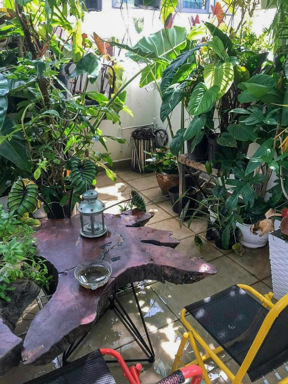 Amango Home Хошимін Екстер'єр фото